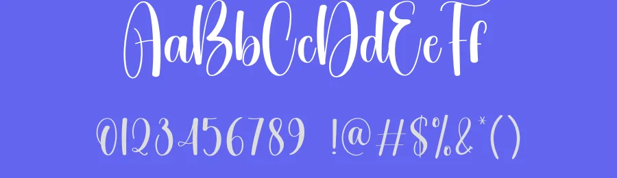 Embroidery Script Font by creativeletter — Script Handwritten Font — thumbnail 3