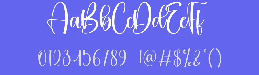 Embroidery Script Font by creativeletter — Script Handwritten Font — thumbnail 3