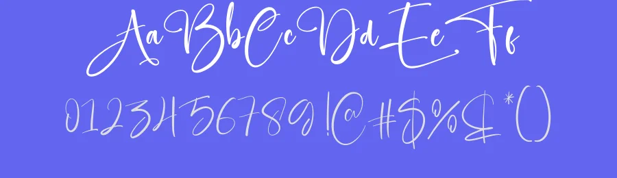 Embroidery Script Font by creativeletter — Script Handwritten Font — thumbnail 3