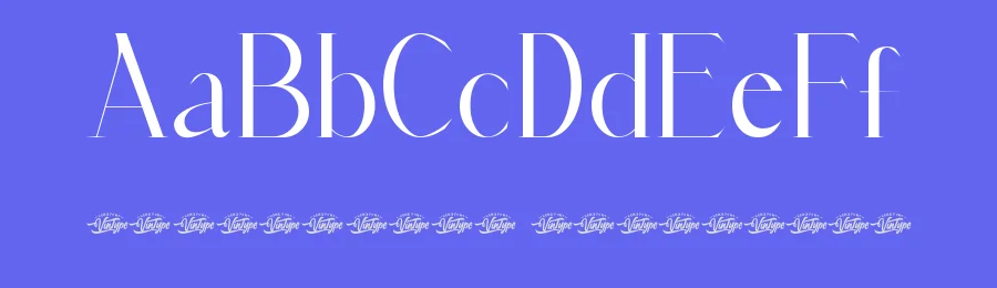 Emile Gauge Font by VinType — Display Font — thumbnail 3