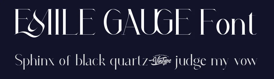 Emile Gauge Font by VinType — Display Font — thumbnail 2