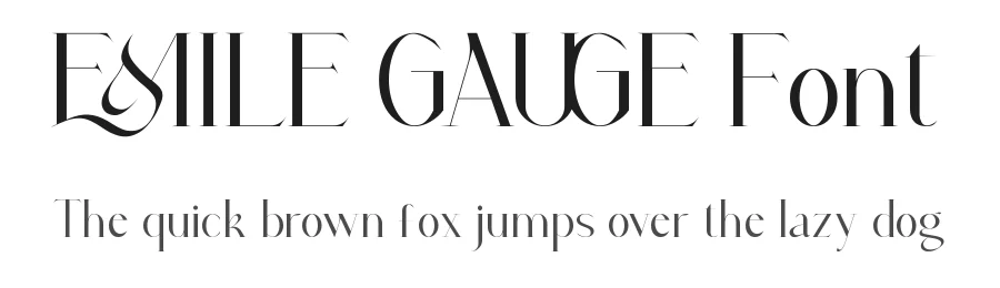 Emile Gauge Font by VinType — Display Font