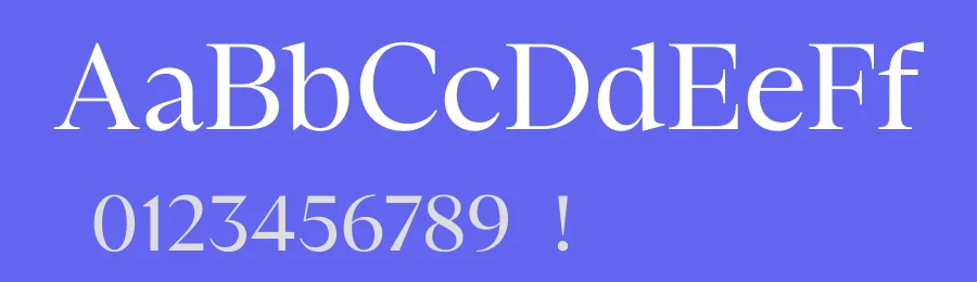 Emilio Serif Font Family by Narrow Type — Serif Font — thumbnail 3