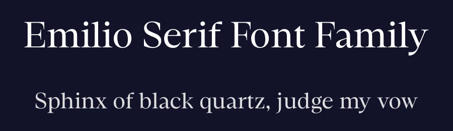 Emilio Serif Font Family by Narrow Type — Serif Font — thumbnail 2