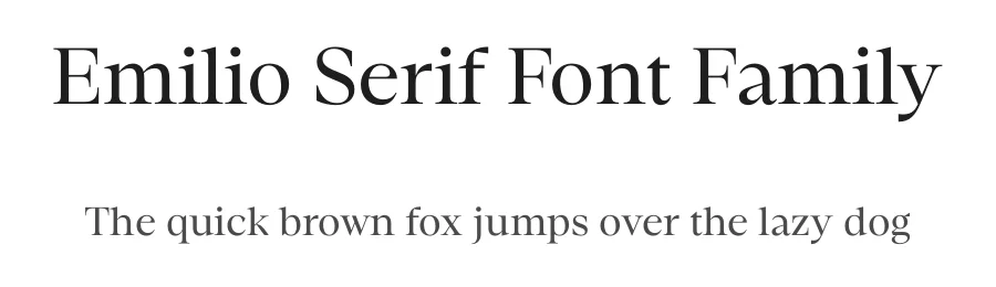 Emilio Serif Font Family by Narrow Type β Serif Font