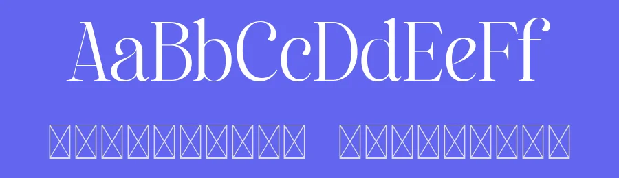 Emofera Font by The_Type — Serif Font — thumbnail 3