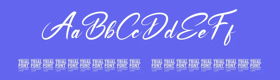 Emotionally Calligraphy Font by 177Studio — Script Handwritten Font — thumbnail 3