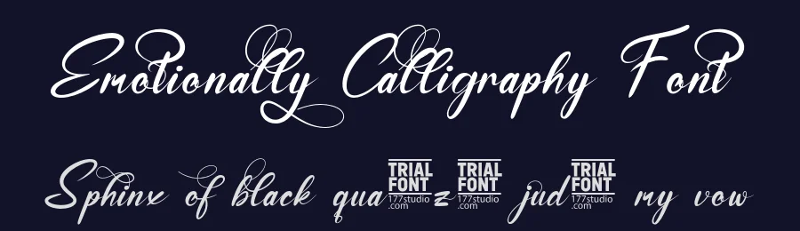 Emotionally Calligraphy Font by 177Studio — Script Handwritten Font — thumbnail 2
