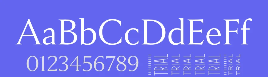 Empirica Font by Frerejones — Serif Font — thumbnail 3