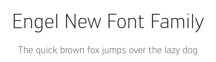 Engel New Font Family by The Northern Block — Sans Serif Font