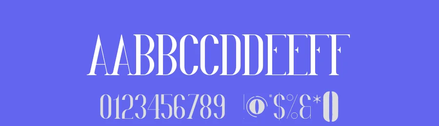 Enid Font by vpcreativeshop — Serif Font — thumbnail 3