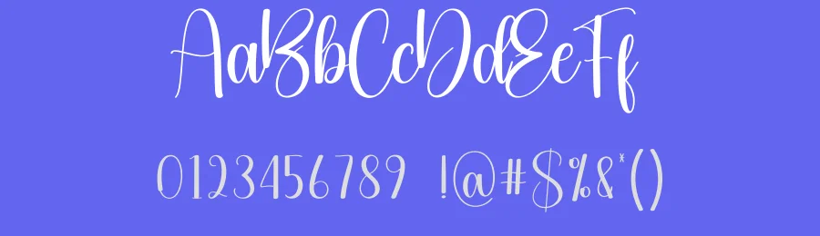 Enough Script Font by creativeletter — Script Handwritten Font — thumbnail 3
