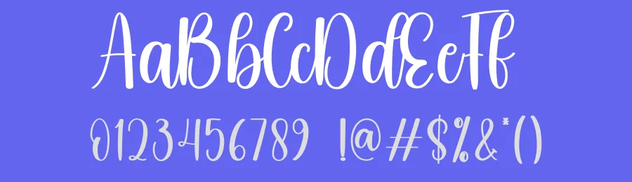 Entrywhy Script Font by andikastudio — Script Handwritten Font — thumbnail 3