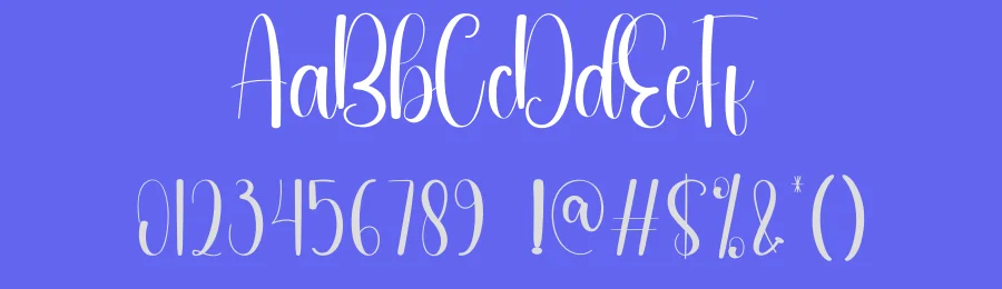 Environment Script Font by andikastudio — Script Handwritten Font — thumbnail 3