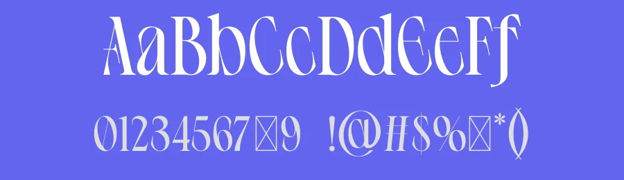 Ephidona Font by Bagerich Type Foundry — Serif Font — thumbnail 3