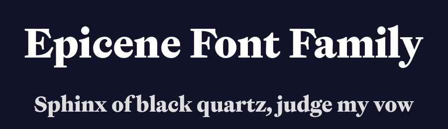 Epicene Font Family by Klim Type Foundry — Serif Font — thumbnail 2