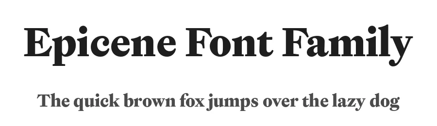 Epicene Font Family by Klim Type Foundry — Serif Font
