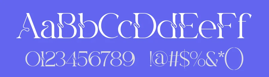 Equira || Modern Classy Serif Font by ErmediaStudio — Display Font — thumbnail 3