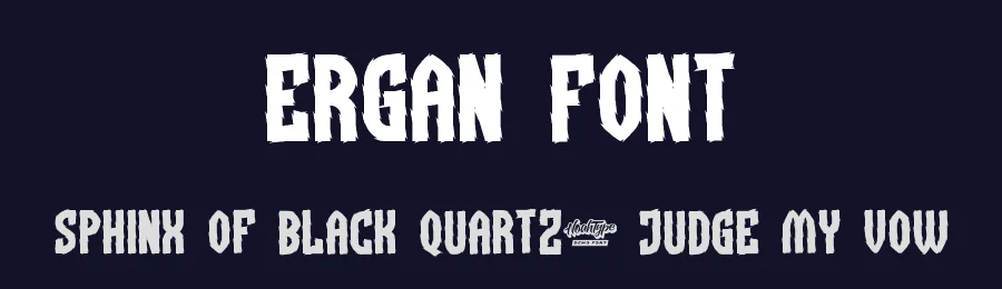 Ergan Font by noahtype — Decorative Font — thumbnail 2