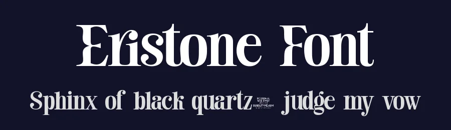 Eristone Font by Subectype Studio — Serif Font — thumbnail 2