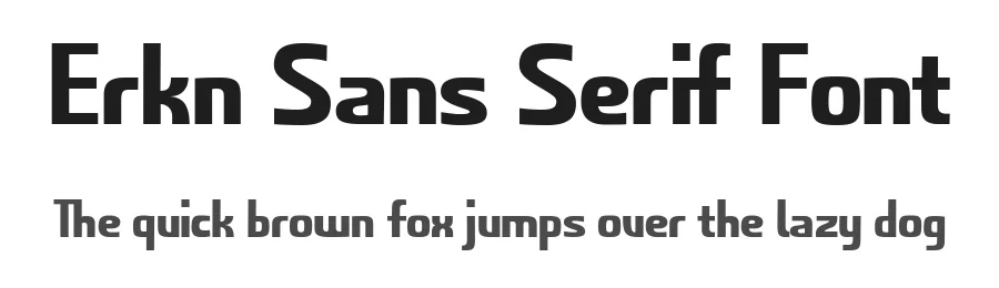 Erkn Sans Serif Font by YTY Digital TypeFoundry — Sans Serif Font