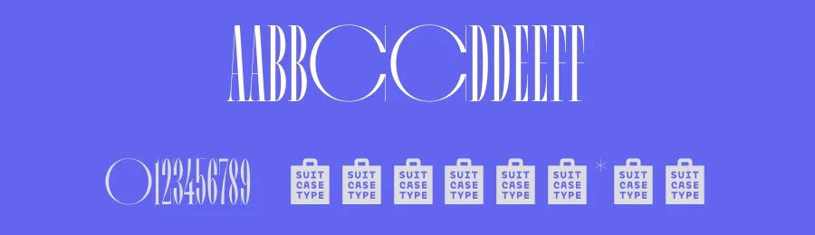 Eroticon Font by Suitcase Type Foundry — Serif Font — thumbnail 3