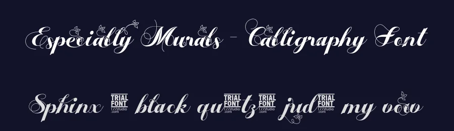 Especially Murals – Calligraphy Font by 177Studio — Script Handwritten Font — thumbnail 2