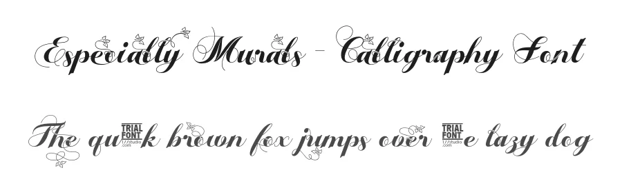Especially Murals – Calligraphy Font by 177Studio — Script Handwritten Font