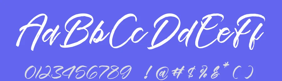 Esterdam Calligraphy Font by Operatype.Co — Script Handwritten Font — thumbnail 3