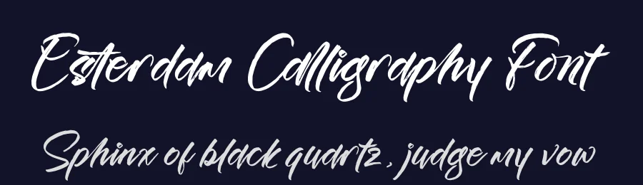 Esterdam Calligraphy Font by Operatype.Co — Script Handwritten Font — thumbnail 2