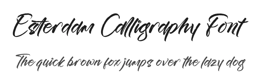Esterdam Calligraphy Font by Operatype.Co — Script Handwritten Font