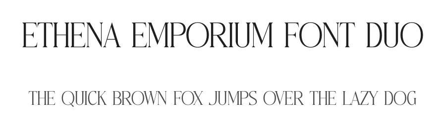 Ethena Emporium Font Duo by Storytype — Serif Font