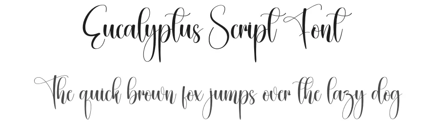 Eucalyptus Script Font by creativeletter — Script Handwritten Font