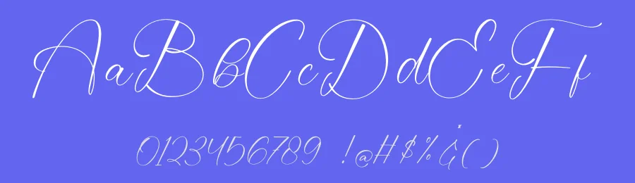 Evelyn Scarlet Calligraphy Font by stylishtype.co — Script Handwritten Font — thumbnail 3