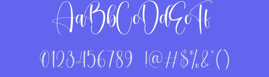 Everybody Calligraphy Font by creativeletter — Script Handwritten Font — thumbnail 3