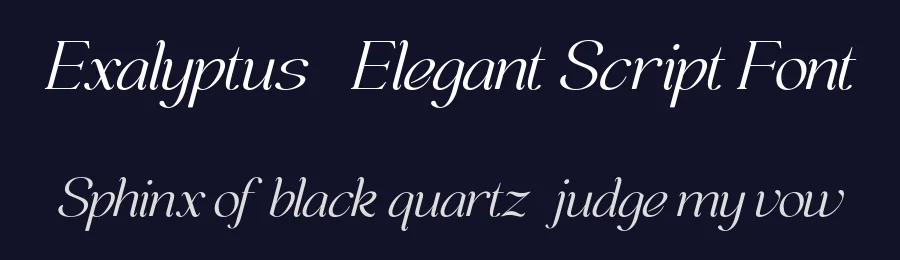 Exalyptus – Elegant Script Font by Pikgura Type — Serif Font — thumbnail 2
