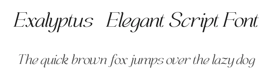 Exalyptus – Elegant Script Font by Pikgura Type — Serif Font