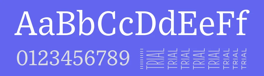 Exchange Font Family by Nina Stössinger — Serif Font — thumbnail 3