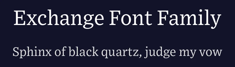 Exchange Font Family by Nina Stössinger — Serif Font — thumbnail 2