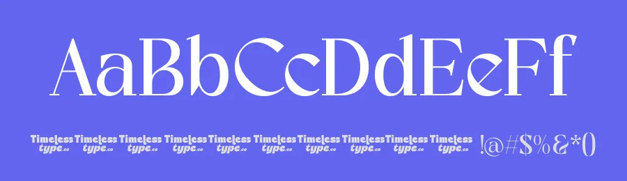 Excite Brands – Modern Editorial Serif Font by timelesstype.co — Serif Font — thumbnail 3