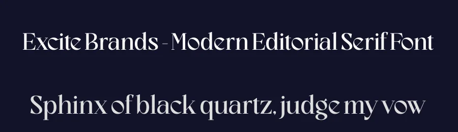 Excite Brands – Modern Editorial Serif Font by timelesstype.co — Serif Font — thumbnail 2