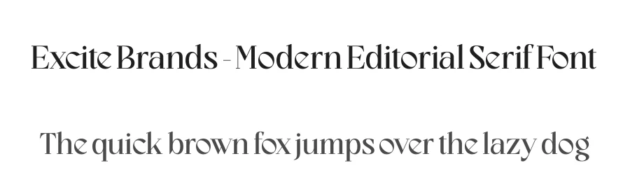 Excite Brands – Modern Editorial Serif Font by timelesstype.co — Serif Font
