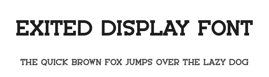 Exited Display Font by freshtypeink — Display Font