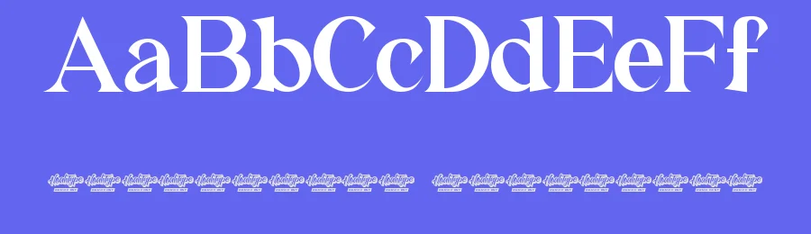 Extraordinaire Font by noahtype — Serif Font — thumbnail 3