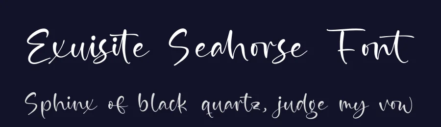 Exuisite Seahorse Font by stylishtype.co — Script Handwritten Font — thumbnail 2