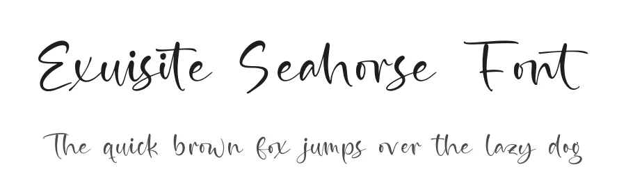 Exuisite Seahorse Font by stylishtype.co — Script Handwritten Font