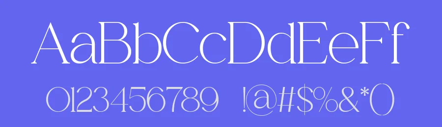 Ezirack || Modern Classy Serif Font by ErmediaStudio — Display Font — thumbnail 3