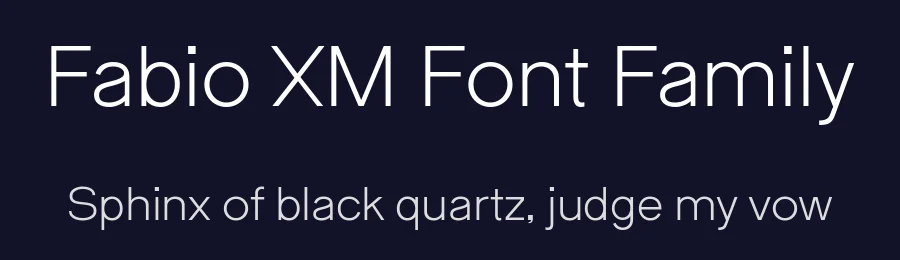 Fabio XM Font Family by Giulia Boggio — Sans Serif Font — thumbnail 2