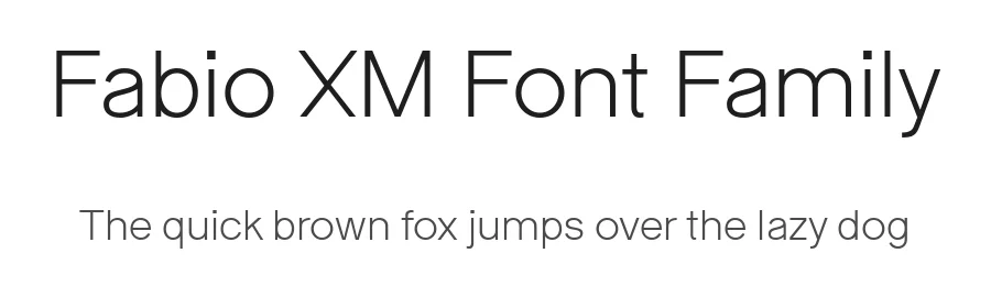 Fabio XM Font Family by Giulia Boggio — Sans Serif Font