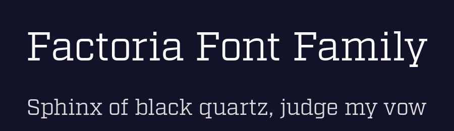 Factoria Font Family by Fort Foundry — Slab Serif Font — thumbnail 2